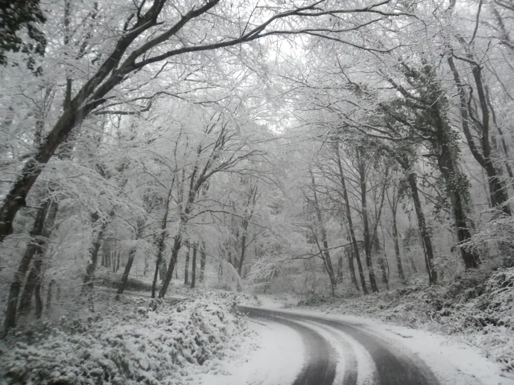 Belgrad Forest under snow - Neşet Suyu Road