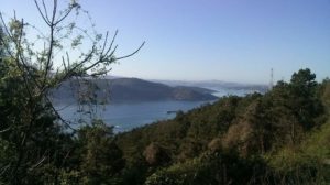 The Bosphorus from Rumeli Lighthouse road