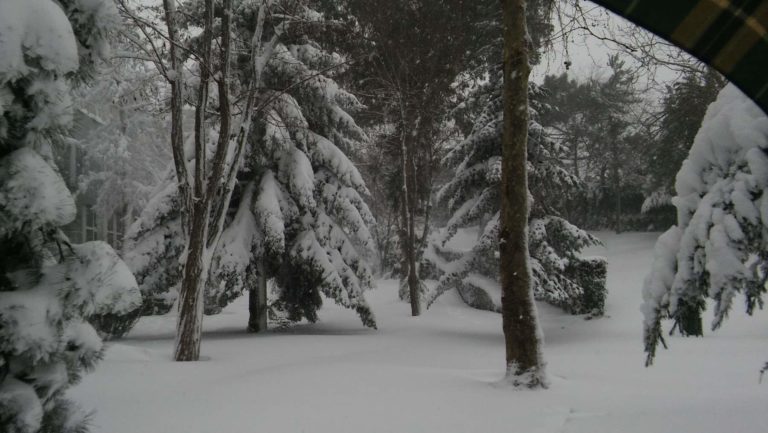 Heavy snow in Istanbul
