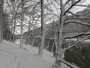 Snow-covered Belgrade forest and Topuzlu dam