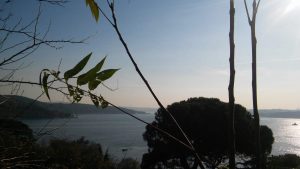 A view of Bosphorus from Havantepe. November 25, 2017.