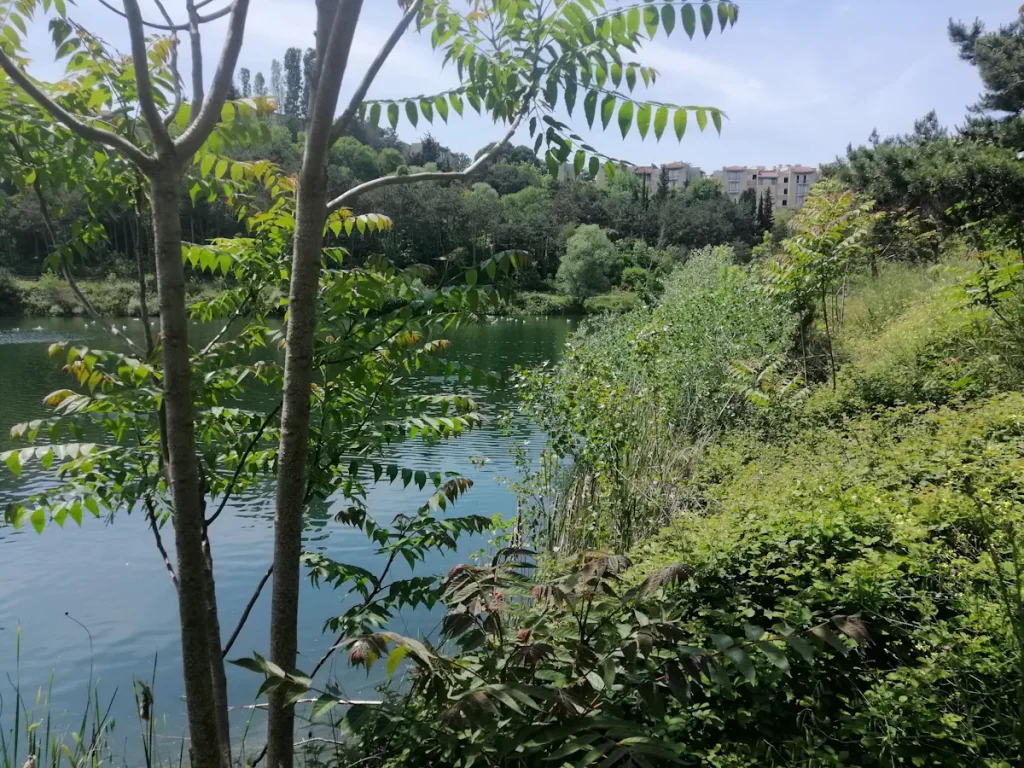 The artificial lake at the Istanbul Technical University [May 8, 2024]