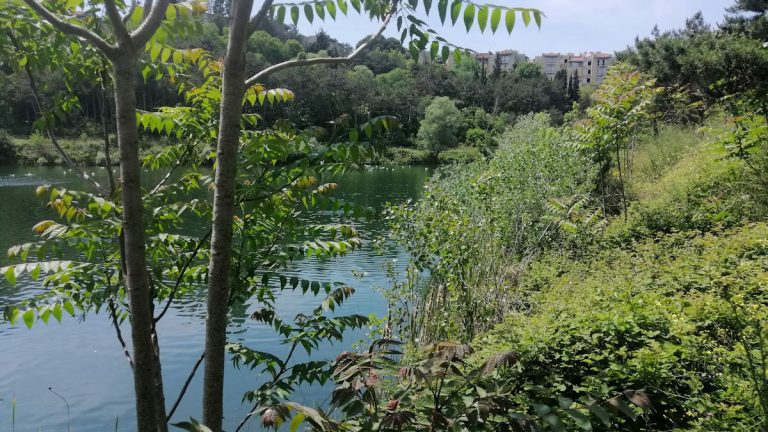 The artificial lake at the Istanbul Technical University