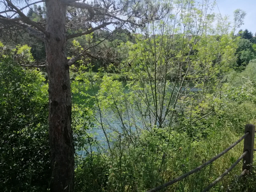The artificial lake at the Istanbul Technical University