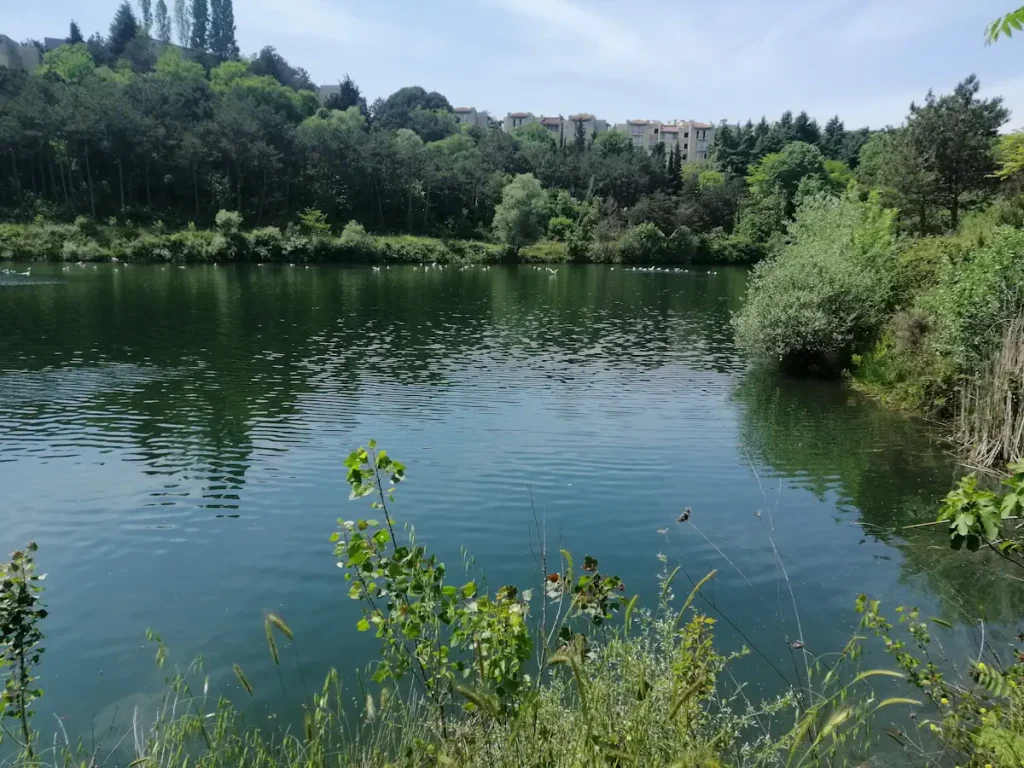 The artificial lake at the Istanbul Technical University