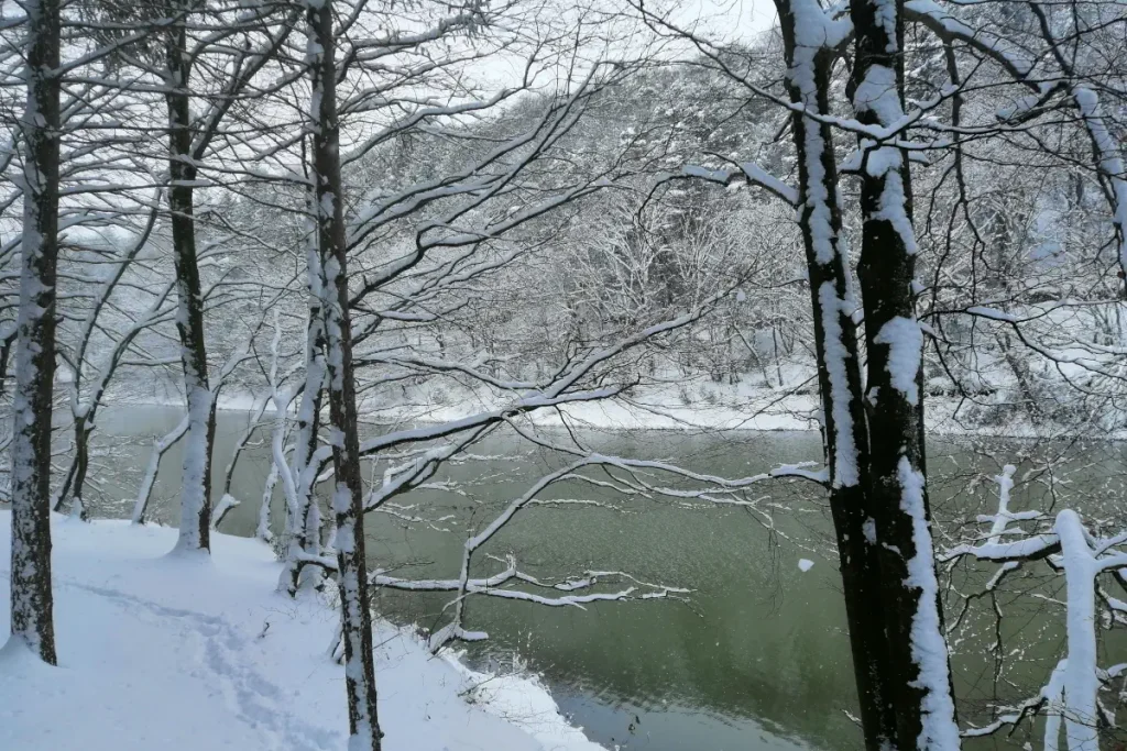 Non-Touristy Activities to do in Istanbul: if you are lucky, you can walk in the snow-covered Belgrade forest.