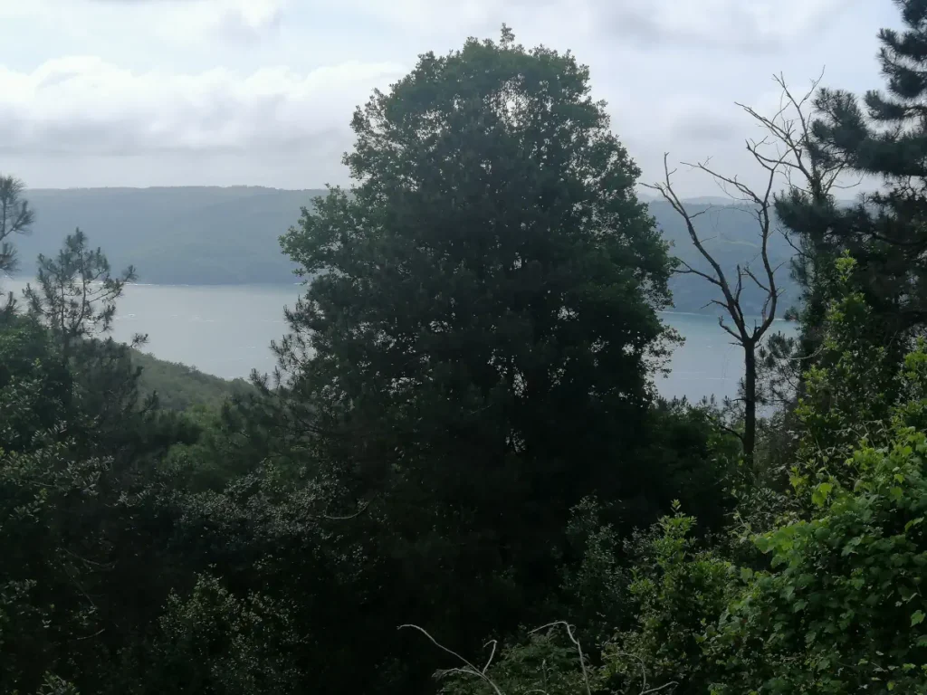 A beautiful view of Bosphorus. I took this photo while cycling on May 25, 2024.