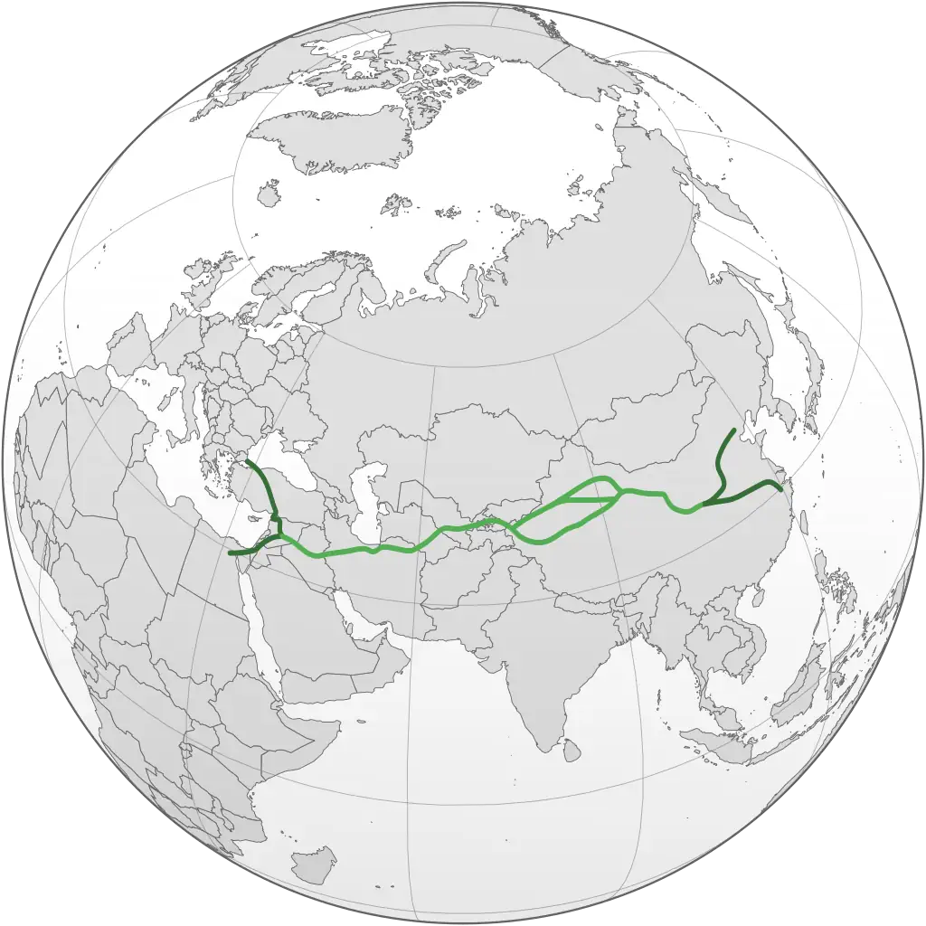 Orthographic projection of the main routes of the Silk Road