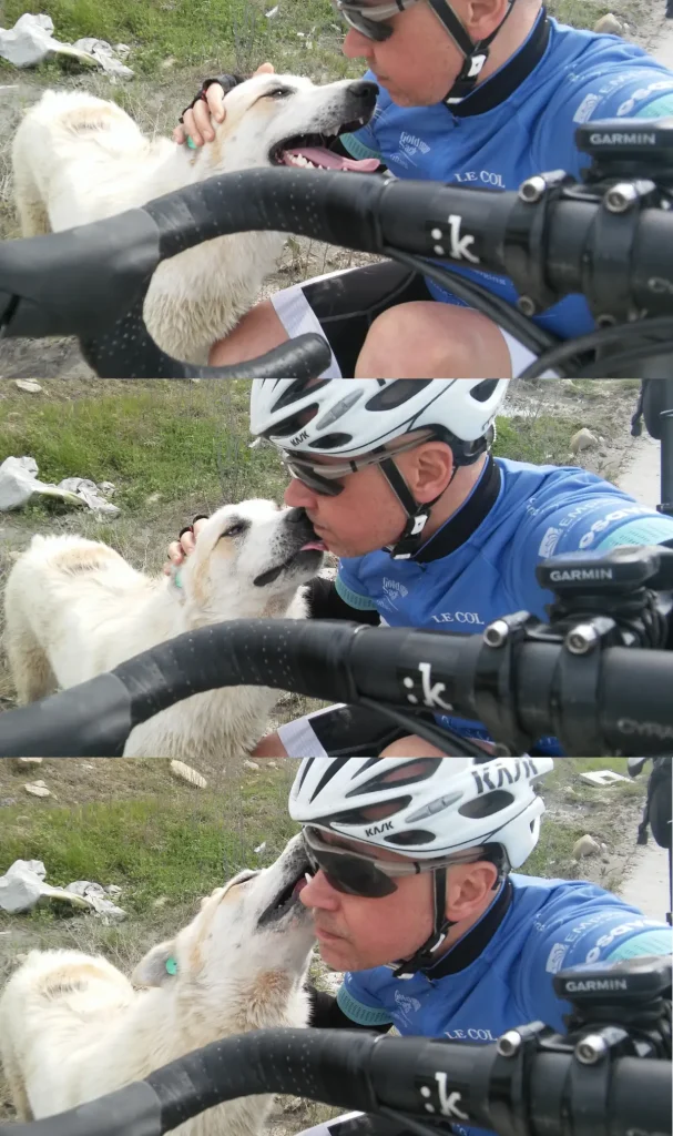 Cycling in Istanbul: Özgür Nevres with a stray dog