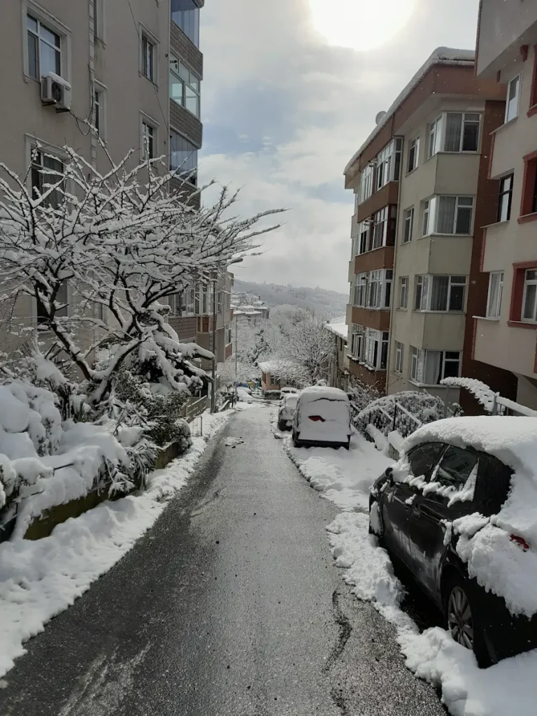 A street in Bahçeköy, Istanbul. A part of snow-covered Belgrad Forest can be seen in the distance.