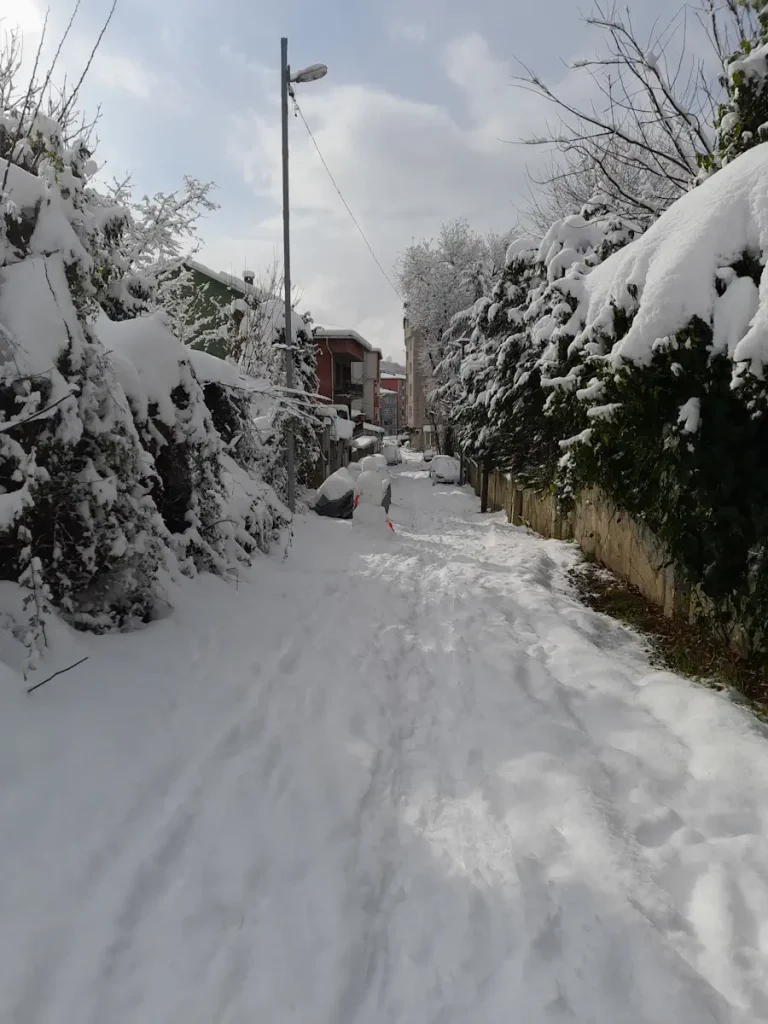 A street in Bahçeköy, Istanbul. This street serves as a path leading pedestrians into the Belgrade forest.