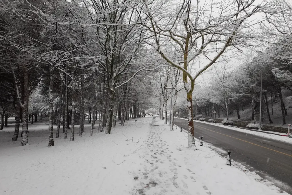 Istanbul Technical University Campus under Snow