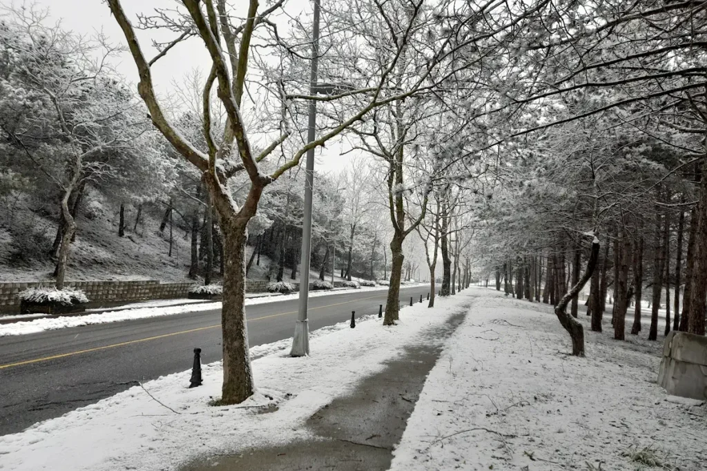 Istanbul Technical University Campus under Snow