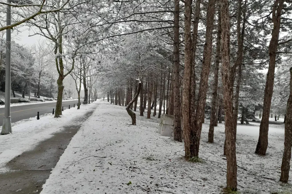 Istanbul Technical University Campus under Snow