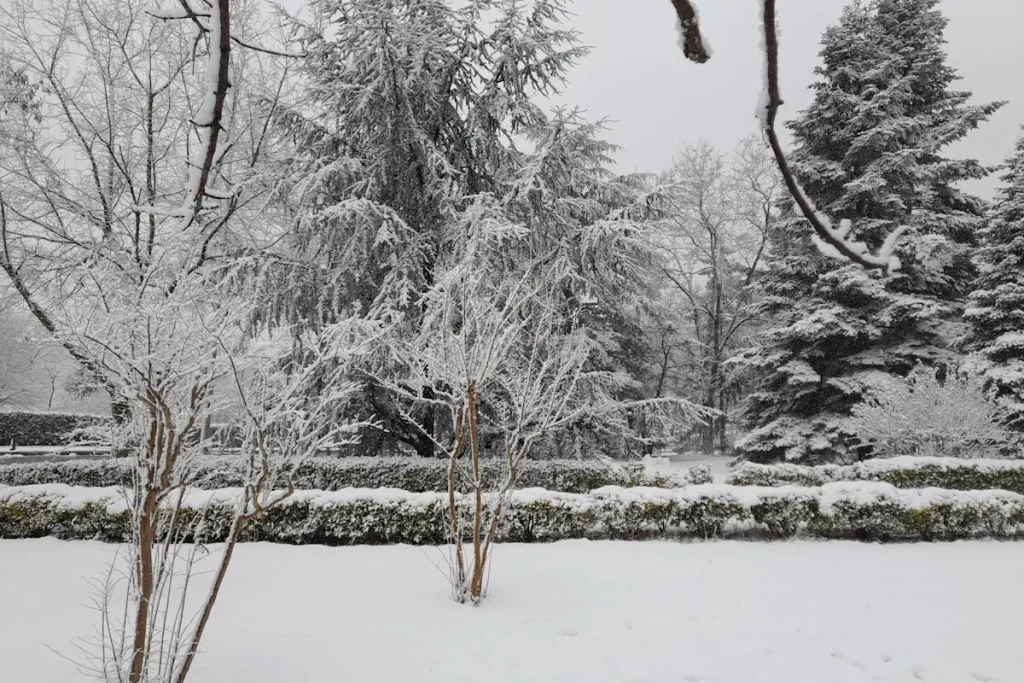 Istanbul Technical University Campus under Snow