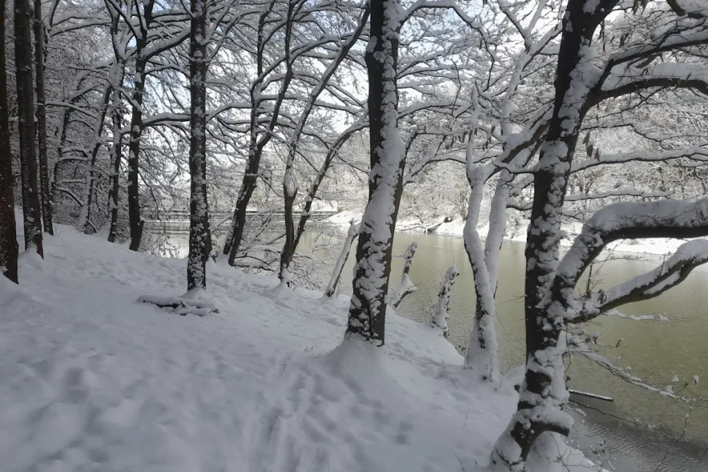A serene, snow-covered trail winds along the Topuzlu Dam's reservoir in Belgrad Forest, Istanbul. The peaceful waters and frosted trees create a breathtaking winter scene.