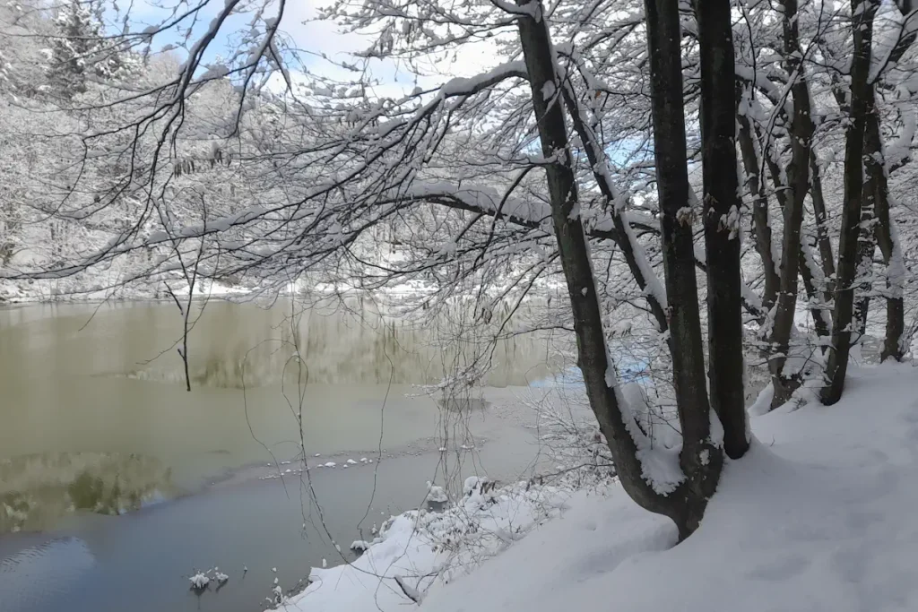 Snow-covered trees frame the calm waters of Topuzlu Dam’s reservoir in Belgrad Forest, Istanbul, creating a peaceful and picturesque winter scene.