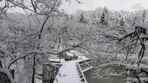 Topuzlu Bendi (Topuzlu Dam), Belgrad Forest, Istanbul