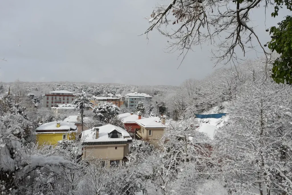 The snow-covered houses near the Belgrade Forest