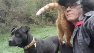 Me at our sanctuary with Zeytin (Olive) standing beside me, one cat resting on my shoulders and another sitting calmly on my lap.